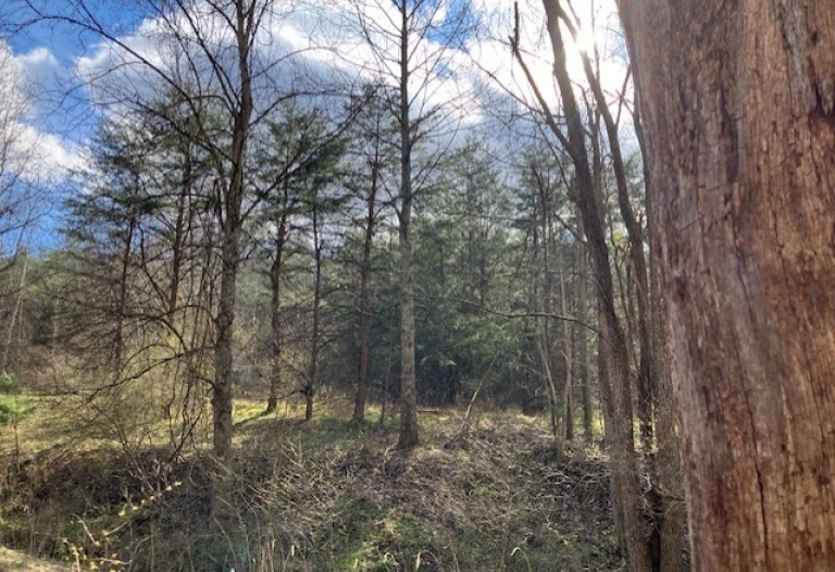 1402 Pierce Rd. Leon, WV